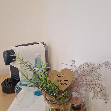 Loewen In Tisis,einzelzimmer Alloggio in famiglia *